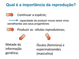 Continuar a espécie;
Produzir as células reprodutoras;
Metade da
informação
genética;
Óvulos ou ovócitos (feminina)
e espermatozoides (masculina)
Qual é a importância da reprodução?
capacidade de produzir novos seres vivos
semelhantes aos seus progenitores.
 