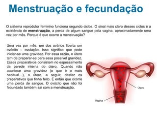 Menstruação e fecundação
O sistema reprodutor feminino funciona segundo ciclos. O sinal mais claro desses ciclos é a
existência de menstruação, a perda de algum sangue pela vagina, aproximadamente uma
vez por mês. Porque é que ocorre a menstruação?
Uma vez por mês, um dos ovários liberta um
ovócito – ovulação. Isso significa que pode
iniciar-se uma gravidez. Por essa razão, o útero
tem de preparar-se para essa possível gravidez.
Esses preparativos consistem no espessamento
da parede interna do útero. Quando não
acontece uma gravidez (o que é o mais
habitual…), o útero, a seguir, desfaz os
preparativos que tinha feito. É então que ocorre
uma perda de sangue. O ovócito que não foi
fecundado também sai com a menstruação.
Vagina
Útero
 