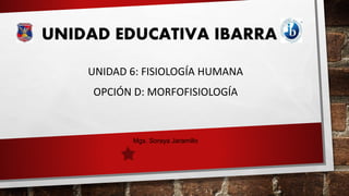 UNIDAD EDUCATIVA IBARRA
UNIDAD 6: FISIOLOGÍA HUMANA
OPCIÓN D: MORFOFISIOLOGÍA
Mgs. Soraya Jaramillo
 