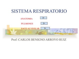 SISTEMA RESPIRATORIO Prof: CARLOS BENIGNO ARROYO RUIZ SACO ALVEOLAR ANATOMIA PULMONES 
