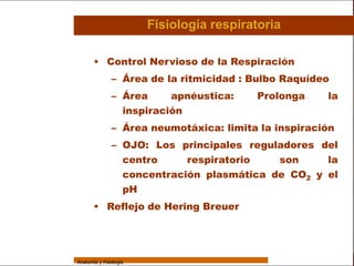 Sistema Respiratorio

                                         Fisiología respiratoria

                        • Control Nervioso de la Respiración
     Sistema
                                – Área de la ritmicidad : Bulbo Raquídeo
Fosas Nasales
                                – Área     apnéustica:     Prolonga            la
     Faringe
                                  inspiración
     Laringe
                                – Área neumotáxica: limita la inspiración
     Tráquea
                                – OJO: Los principales reguladores del
   Bronquios                      centro     respiratorio   son     la
 Bronquiolos                      concentración plasmática de CO2 y el
                                  pH
   Pulmones
                        • Reflejo de Hering Breuer
    Fisiología




                 Anatomía y Fisiología                                              56
 