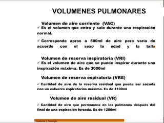 Sistema Respiratorio

                                 VOLUMENES PULMONARES
                      Volumen de aire corriente (VAC)
                   Es el volumen que entra y sale durante una respiración
     Sistema
                  normal.

Fosas Nasales      Corresponde aprox a 500ml de aire pero varía de
                  acuerdo                con   el   sexo   la   edad   y     la    talla
     Faringe


     Laringe          Volumen de reserva inspiratoria (VRI)
                   Es el volumen de aire que se puede inspirar durante una
     Tráquea
                  inspiración máxima. Es de 3000ml
   Bronquios
                      Volumen de reserva espiratoria (VRE)
 Bronquiolos
                   Cantidad de aire de la reserva residual que puede ser sacada
   Pulmones
                  con un esfuerzo espiratorios máximo. Es de 1100ml


    Fisiología                 Volumen de aire residual (VR)
                   Cantidad de aire que permanece en los pulmones después del
                  final de una espiración forzada. Es de 1200ml


                 Anatomía y Fisiología                                                     61
 