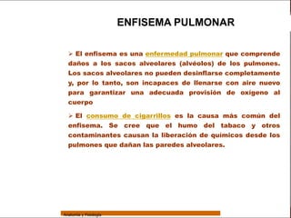 Sistema Respiratorio

                                         ENFISEMA PULMONAR


     Sistema
                    El enfisema es una enfermedad pulmonar que comprende
                   daños a los sacos alveolares (alvéolos) de los pulmones.
Fosas Nasales      Los sacos alveolares no pueden desinflarse completamente
                   y, por lo tanto, son incapaces de llenarse con aire nuevo
     Faringe
                   para garantizar una adecuada provisión de oxígeno al
     Laringe       cuerpo

     Tráquea        El consumo de cigarrillos es la causa más común del
                   enfisema. Se cree que el humo del tabaco y otros
   Bronquios
                   contaminantes causan la liberación de químicos desde los
 Bronquiolos       pulmones que dañan las paredes alveolares.

   Pulmones


    Fisiología




                 Anatomía y Fisiología                                          63
 