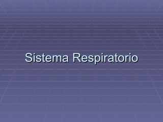 Sistema Respiratorio 