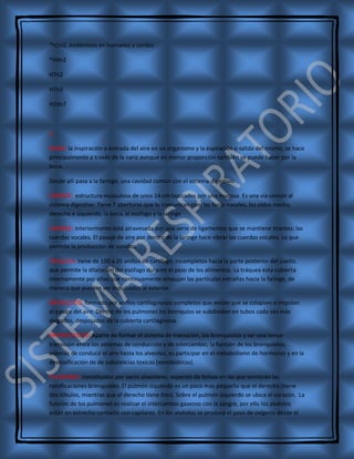 Sistema respiratorio