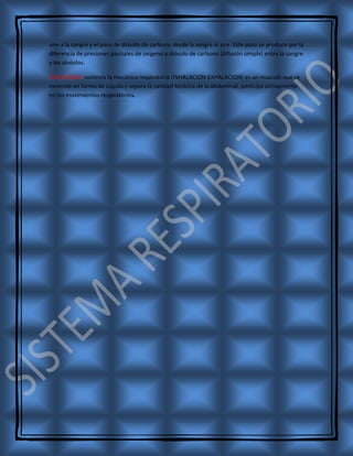 Sistema respiratorio