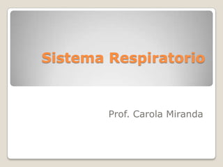 Sistema Respiratorio Prof. Carola Miranda 