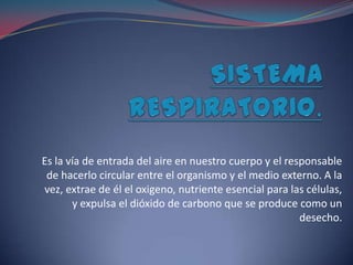 Es la vía de entrada del aire en nuestro cuerpo y el responsable
 de hacerlo circular entre el organismo y el medio externo. A la
vez, extrae de él el oxigeno, nutriente esencial para las células,
       y expulsa el dióxido de carbono que se produce como un
                                                        desecho.
 