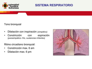 SISTEMA RESPIRATORIO




Tono bronquial

• Dilatación con inspiración (simpático)
• Constricción      con       espiración
   (parasimpático- frio, sustancias irritantes)


Ritmo circadiano bronquial:
• Constricción max. 6 am
• Dilatación max. 6 pm
 