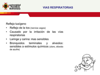 VIAS RESPIRATORIAS




Reflejo tusígeno
• Reflejo de la tos (nervios vagos)
• Causado por la irritación de las vías
  respiratorias
• Laringe y carina: mas sensibles
• Bronquiolos     terminales        y alveolos:
  sensibles a estímulos químicos (cloro, dióxido
   de azufre)
 