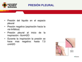 PRESIÓN PLEURAL




• Presión del liquido en el espacio
  pleural
• Presión negativa (aspiración hacia la
  via linfática)
• Presión pleural al inicio de la
  inspiración: -5cmH2O
• Durante la inspiración la presión se
  hace mas negativa: hasta 7,5
  cmH2O
 