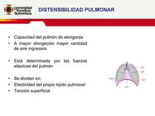 DISTENSIBILIDAD PULMONAR




• Capacidad del pulmón de elongarse
• A mayor elongación mayor cantidad
  de aire ingresara

• Está determinada por las fuerzas
  elásticas del pulmón

• Se dividen en:
• Elasticidad del propio tejido pulmonar
• Tensión superficial
 