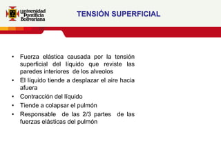 TENSIÓN SUPERFICIAL




• Fuerza elástica causada por la tensión
  superficial del líquido que reviste las
  paredes interiores de los alveolos
• El líquido tiende a desplazar el aire hacia
  afuera
• Contracción del líquido
• Tiende a colapsar el pulmón
• Responsable de las 2/3 partes de las
  fuerzas elásticas del pulmón
 