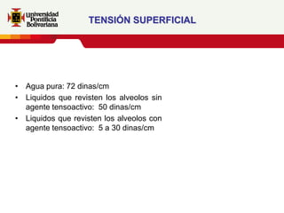 TENSIÓN SUPERFICIAL




• Agua pura: 72 dinas/cm
• Liquidos que revisten los alveolos sin
  agente tensoactivo: 50 dinas/cm
• Liquidos que revisten los alveolos con
  agente tensoactivo: 5 a 30 dinas/cm
 