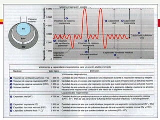 SISTEMA RESPIRATORIO
 