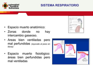 SISTEMA RESPIRATORIO




• Espacio muerto anatómico:
• Zonas     donde      no        hay
  intercambio gaseoso.
• Areas bien ventiladas pero
  mal perfundidas (equivale al peso en
  libras)


• Espacio muerto fisiológico:
  áreas bien perfundidas pero
  mal ventiladas
 