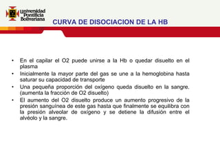 CURVA DE DISOCIACION DE LA HB




•   En el capilar el O2 puede unirse a la Hb o quedar disuelto en el
    plasma
•   Inicialmente la mayor parte del gas se une a la hemoglobina hasta
    saturar su capacidad de transporte
•   Una pequeña proporción del oxígeno queda disuelto en la sangre.
    (aumenta la fracción de O2 disuelto)
•   El aumento del O2 disuelto produce un aumento progresivo de la
    presión sanguínea de este gas hasta que finalmente se equilibra con
    la presión alveolar de oxígeno y se detiene la difusión entre el
    alvéolo y la sangre.
 