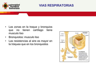 VIAS RESPIRATORIAS




• Las zonas en la traque y bronquios
  que no tienen cartílago tiene
  musculo liso
• Bronquiolos: musculo liso
• Las resistencias al aire es mayor en
  la tráquea que en los bronquiolos
 