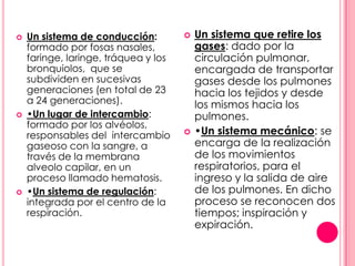    Un sistema de conducción:            Un sistema que retire los
    formado por fosas nasales,            gases: dado por la
    faringe, laringe, tráquea y los       circulación pulmonar,
    bronquiolos, que se                   encargada de transportar
    subdividen en sucesivas               gases desde los pulmones
    generaciones (en total de 23          hacia los tejidos y desde
    a 24 generaciones).                   los mismos hacia los
   •Un lugar de intercambio:             pulmones.
    formado por los alvéolos,
    responsables del intercambio         •Un sistema mecánico: se
    gaseoso con la sangre, a              encarga de la realización
    través de la membrana                 de los movimientos
    alveolo capilar, en un                respiratorios, para el
    proceso llamado hematosis.            ingreso y la salida de aire
   •Un sistema de regulación:            de los pulmones. En dicho
    integrada por el centro de la         proceso se reconocen dos
    respiración.                          tiempos; inspiración y
                                          expiración.
 