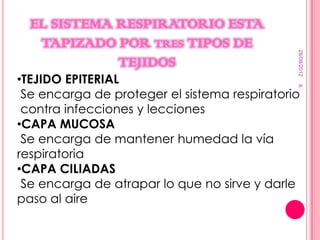 EL SISTEMA RESPIRATORIO ESTA
   TAPIZADO POR TRES TIPOS DE




                                              28/08/2012
             TEJIDOS
•TEJIDO EPITERIAL




                                              6
 Se encarga de proteger el sistema respiratorio
 contra infecciones y lecciones
•CAPA MUCOSA
 Se encarga de mantener humedad la vía
respiratoria
•CAPA CILIADAS
 Se encarga de atrapar lo que no sirve y darle
paso al aire
 