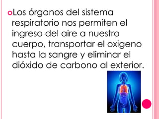 Los órganos del sistema
 respiratorio nos permiten el
 ingreso del aire a nuestro
 cuerpo, transportar el oxigeno
 hasta la sangre y eliminar el
 dióxido de carbono al exterior.
 