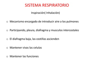 SISTEMA RESPIRATORIO
                    Inspiración( Inhalación)

o Mecanismo encargado de introducir aire a los pulmones

o Participando, pleura, diafragma y musculos intercostales

o El diafragma baja, las costillas ascienden

o Mantener vivas las celulas

o Mantener las funciones
 