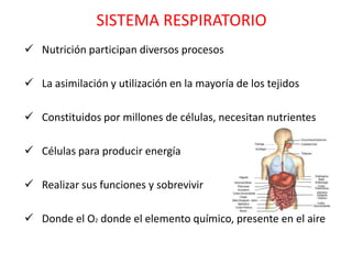 SISTEMA RESPIRATORIO
 Nutrición participan diversos procesos

 La asimilación y utilización en la mayoría de los tejidos

 Constituidos por millones de células, necesitan nutrientes

 Células para producir energía

 Realizar sus funciones y sobrevivir

 Donde el O2 donde el elemento químico, presente en el aire
 
