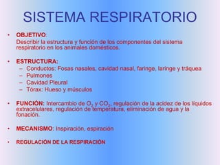 SISTEMA RESPIRATORIO
•   OBJETIVO:
    Describir la estructura y función de los componentes del sistema
    respiratorio en los animales domésticos.

•   ESTRUCTURA:
     – Conductos: Fosas nasales, cavidad nasal, faringe, laringe y tráquea
     – Pulmones
     – Cavidad Pleural
     – Tórax: Hueso y músculos

•   FUNCIÓN: Intercambio de O2 y CO2, regulación de la acidez de los líquidos
    extracelulares, regulación de temperatura, eliminación de agua y la
    fonación.

•   MECANISMO: Inspiración, espiración

•   REGULACIÓN DE LA RESPIRACIÓN
 