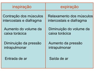 inspiração                  expiração

Contração dos músculos     Relaxamento dos músculos
intercostais e diafragma   intercostais e diafragma

Aumento do volume da       Diminuição do volume da
caixa torácica             caixa torácica

Diminuição da pressão      Aumento da pressão
intrapulmonar              intrapulmonar

 Entrada de ar             Saída de ar
 