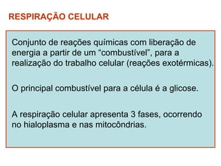 RESPIRAÇÃO CELULAR

Conjunto de reações químicas com liberação de
energia a partir de um “combustível”, para a
realização do trabalho celular (reações exotérmicas).

O principal combustível para a célula é a glicose.


A respiração celular apresenta 3 fases, ocorrendo
no hialoplasma e nas mitocôndrias.
 