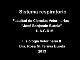Sistema respiratorio
Facultad de Ciencias Veterinarias
     “José Benjamin Burela”
             U.A.G.R.M.

    Fisiología Veterinaria II
   Dra. Rosa M. Teruya Burela
              2013
 