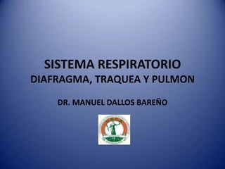 SISTEMA RESPIRATORIO
DIAFRAGMA, TRAQUEA Y PULMON
DR. MANUEL DALLOS BAREÑO
 