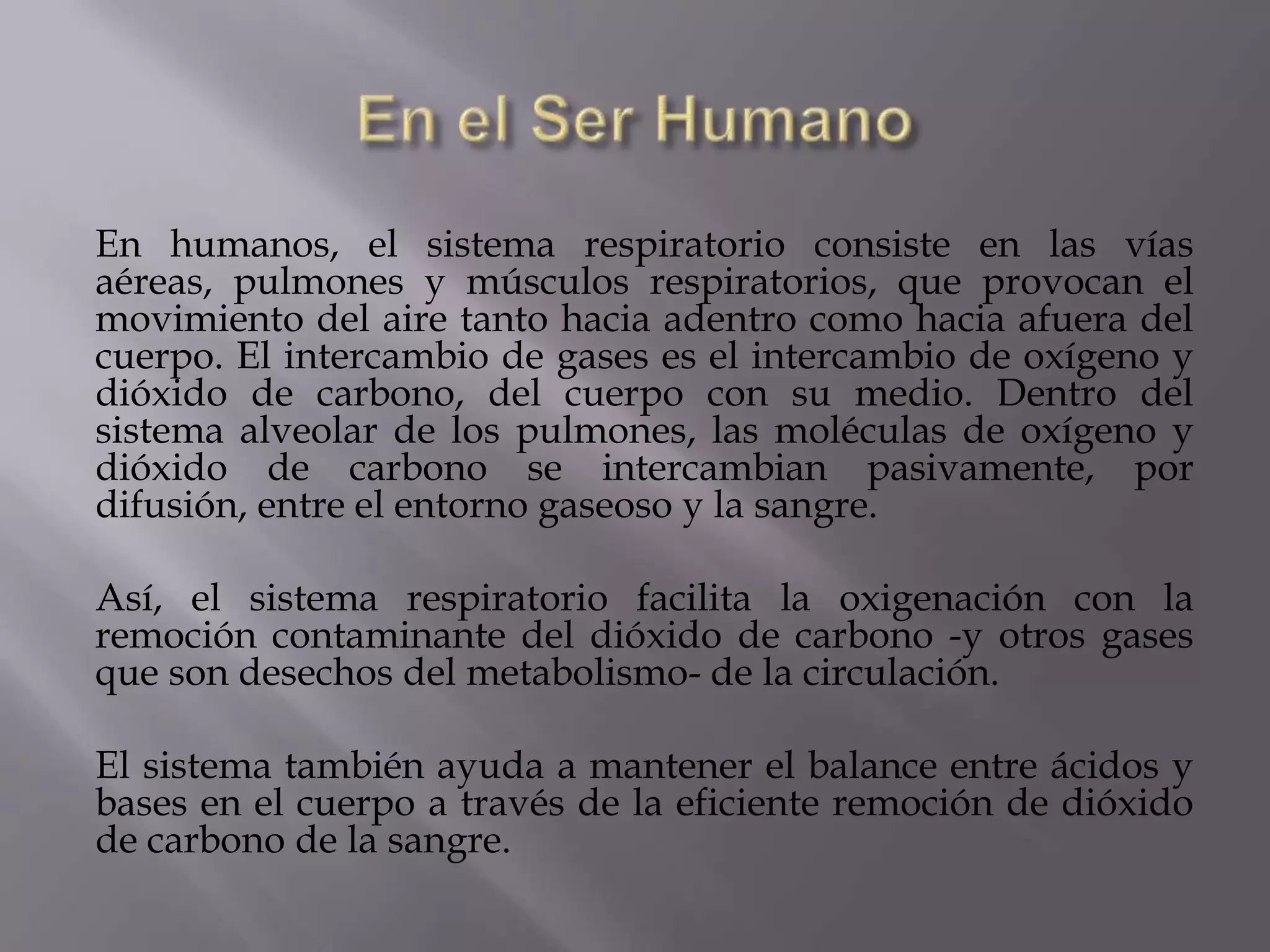 En humanos, el sistema respiratorio consiste en las vías
aéreas, pulmones y músculos respiratorios, que provocan el
movimiento del aire tanto hacia adentro como hacia afuera del
cuerpo. El intercambio de gases es el intercambio de oxígeno y
dióxido de carbono, del cuerpo con su medio. Dentro del
sistema alveolar de los pulmones, las moléculas de oxígeno y
dióxido de carbono se intercambian pasivamente, por
difusión, entre el entorno gaseoso y la sangre.
Así, el sistema respiratorio facilita la oxigenación con la
remoción contaminante del dióxido de carbono -y otros gases
que son desechos del metabolismo- de la circulación.
El sistema también ayuda a mantener el balance entre ácidos y
bases en el cuerpo a través de la eficiente remoción de dióxido
de carbono de la sangre.
 