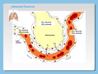 Hematose Pulmonar
 