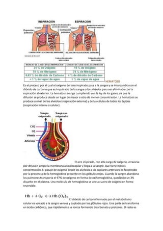HEMATOSIS
Es el proceso por el cual el oxígeno del aire inspirado pasa a la sangre y se intercambia con el
dióxido de carbono que es impulsado de la sangre a los alvéolos para ser eliminado con la
espiración al exterior. La hematosis se rige cumpliendo con la ley de los gases, ya que la
difusión se produce desde un lugar de mayor a otro de menor concentración. La hematosis se
produce a nivel de los alvéolos (respiración externa) y de las células de todos los tejidos
(respiración interna o celular).
El aire inspirado, con alta carga de oxígeno, atraviesa
por difusión simple la membrana alveolocapilar y llega a la sangre, que tiene menos
concentración. El pasaje de oxígeno desde los alvéolos a los capilares arteriales es favorecido
por la presencia de la hemoglobina presente en los glóbulos rojos. Cuando la sangre abandona
los pulmones transporta el 97% de oxígeno en forma de oxihemoglobina, quedando un 3%
disuelto en el plasma. Una molécula de hemoglobina se une a cuatro de oxígeno en forma
reversible.
El dióxido de carbono formado por el metabolismo
celular es volcado a la sangre venosa y captado por los glóbulos rojos. Una parte se transforma
en ácido carbónico, que rápidamente se ioniza formando bicarbonato y protones. El resto es
 