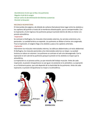 -Acondicionar el aire que arriba a los pulmones
-Regular el pH de la sangre
-Actuar como vía de eliminación de distintas sustancias
-Permitir la fonación
MECÁNICA RESPIRATORIA
El intercambio de oxígeno y de dióxido de carbono (hematosis) tiene lugar entre los alvéolos y
los capilares del pulmón a través de la membrana alveolocapilar, que es semipermeable. Con
la inspiración, el aire ingresa a los pulmones porque la presión dentro de ellos es menor a la
presión atmosférica.
-Inspiración
Se contraen el diafragma, los músculos intercostales externos, los serratos anteriores y los
pectorales. La cavidad torácica se expande. Los pulmones se dilatan al entrar aire oxigenado.
Tras la inspiración, el oxígeno llega a los alvéolos y pasa a los capilares arteriales.
-Espiración
Intervienen los músculos intercostales internos, los oblicuos abdominales y el recto abdominal.
El diafragma, los músculos pectorales y los intercostales externos se relajan. La cavidad
torácica se reduce en volumen. Los pulmones se contraen al salir aire desoxigenado. Con la
espiración el aire sale de los pulmones porque la presión en los alvéolos es mayor que la
atmosférica.
La inspiración es un proceso activo, ya que necesita del trabajo muscular. Antes de cada
inspiración, la presión intrapulmonar es casi igual a la existente en la atmósfera. La espiración
es un fenómeno pasivo, que solo depende de la elasticidad de los pulmones. Antes de cada
espiración, la presión intrapulmonar es mayor a la atmosférica.
 