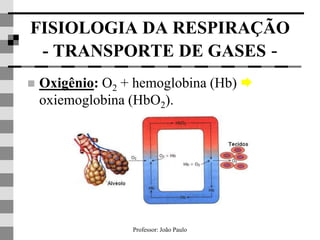 Professor: João Paulo
FISIOLOGIA DA RESPIRAÇÃO
- TRANSPORTE DE GASES -
 Oxigênio: O2 + hemoglobina (Hb) 
oxiemoglobina (HbO2).
 