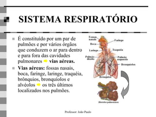 Professor: João Paulo
SISTEMA RESPIRATÓRIO
 É constituído por um par de
pulmões e por vários órgãos
que conduzem o ar para dentro
e para fora das cavidades
pulmonares  vias aéreas.
 Vias aéreas: fossas nasais,
boca, faringe, laringe, traquéia,
brônquios, bronquíolos e
alvéolos  os três últimos
localizados nos pulmões.
 