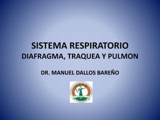 SISTEMA RESPIRATORIO
DIAFRAGMA, TRAQUEA Y PULMON
DR. MANUEL DALLOS BAREÑO
 