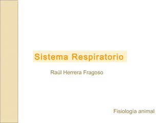 Sistema Respiratorio
Fisiología animal
Raúl Herrera Fragoso
 