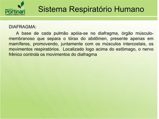 DIAFRAGMA:
A base de cada pulmão apóia-se no diafragma, órgão músculo-
membranoso que separa o tórax do abdômen, presente apenas em
mamíferos, promovendo, juntamente com os músculos intercostais, os
movimentos respiratórios. Localizado logo acima do estômago, o nervo
frênico controla os movimentos do diafragma
Sistema Respiratório Humano
 