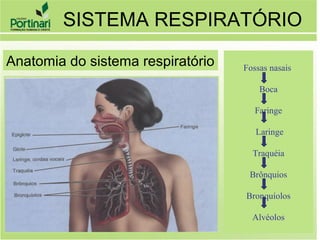Fossas nasais
Boca
Faringe
Laringe
Traquéia
Brônquios
Bronquíolos
Alvéolos
SISTEMA RESPIRATÓRIO
Anatomia do sistema respiratório
 