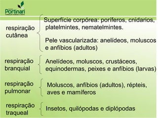 respiração
cutânea
Superfície corpórea: poríferos, cnidarios,
platelmintes, nematelmintes.
Pele vascularizada: anelídeos, moluscos
e anfíbios (adultos)
respiração
branquial
Anelídeos, moluscos, crustáceos,
equinodermas, peixes e anfíbios (larvas)
respiração
pulmonar
Moluscos, anfíbios (adultos), répteis,
aves e mamíferos
respiração
traqueal
Insetos, quilópodas e diplópodas
 