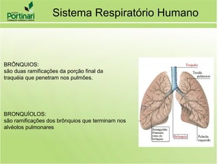 BRÔNQUIOS:
são duas ramificações da porção final da
traquéia que penetram nos pulmões.
BRONQUÍOLOS:
são ramificações dos brônquios que terminam nos
alvéolos pulmonares
Sistema Respiratório Humano
 