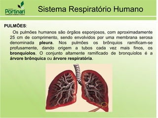 PULMÕES:
Os pulmões humanos são órgãos esponjosos, com aproximadamente
25 cm de comprimento, sendo envolvidos por uma membrana serosa
denominada pleura. Nos pulmões os brônquios ramificam-se
profusamente, dando origem a tubos cada vez mais finos, os
bronquíolos. O conjunto altamente ramificado de bronquíolos é a
árvore brônquica ou árvore respiratória.
Sistema Respiratório Humano
 