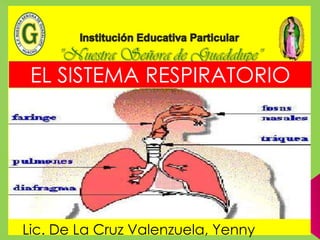 EL SISTEMA RESPIRATORIO
Lic. De La Cruz Valenzuela, Yenny
 