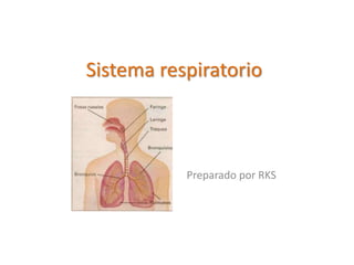 Sistema respiratorio
Preparado por RKS
 