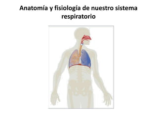 Anatomía y fisiología de nuestro sistema
respiratorio
 