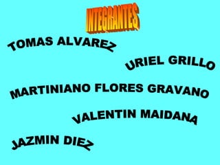 Sistema respiratorio 