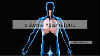 Sistema Respiratorio
Cristian Ramos
 
